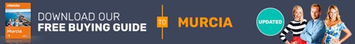 Buying Guide Banner