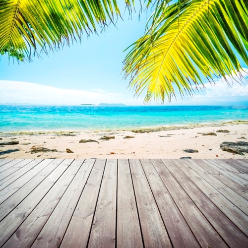 10 tips for setting up home in Florida 