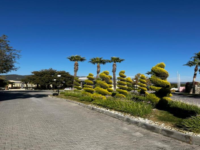 Image No.20-2 Bed Apartment for sale