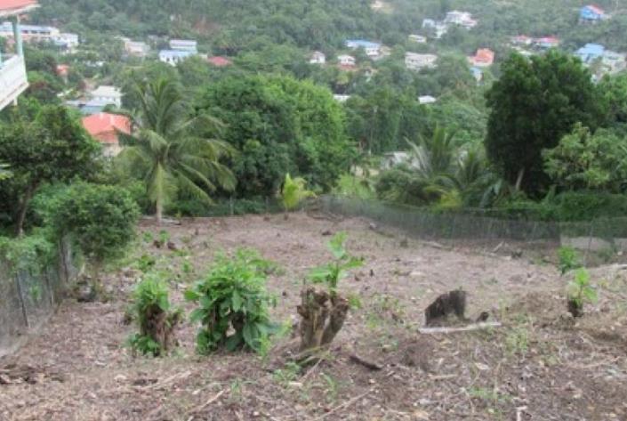 Image No.3-Land for sale