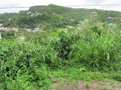 Image No.7-Land for sale