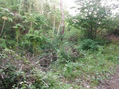 Image No.5-Land for sale