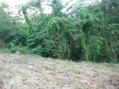 Image No.4-Land for sale