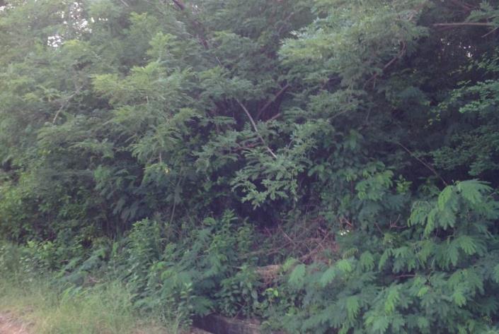 Image No.6-Land for sale