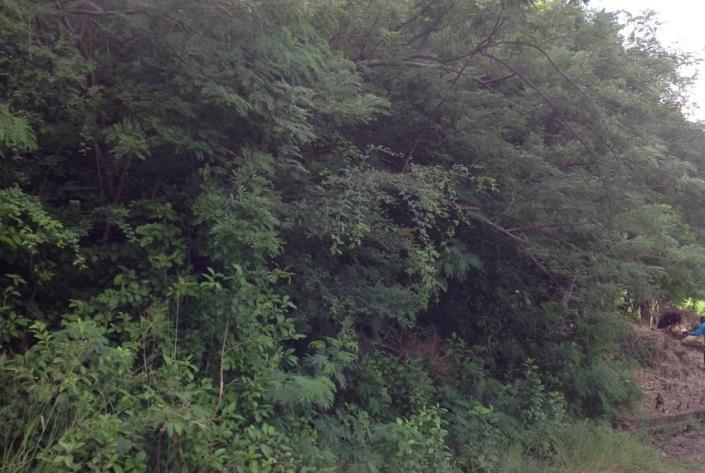 Image No.4-Land for sale