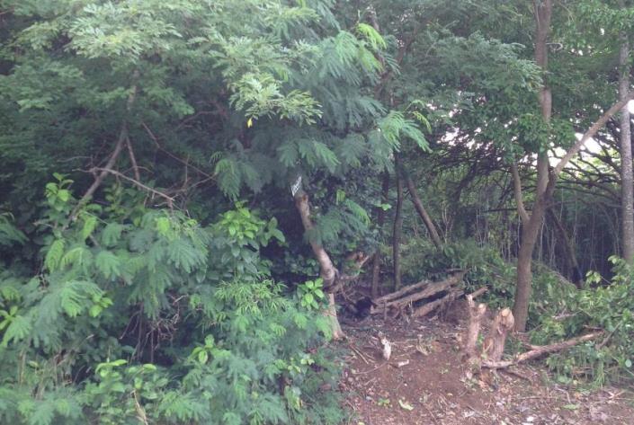 Image No.7-Land for sale