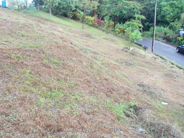 Image No.4-Land for sale