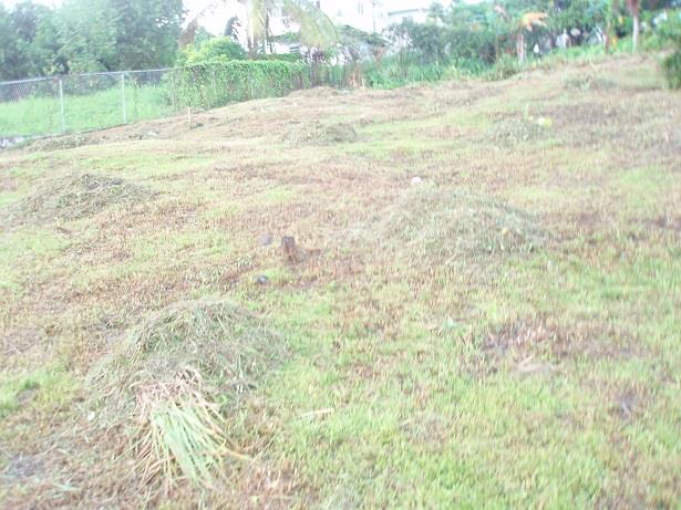 Image No.10-Land for sale