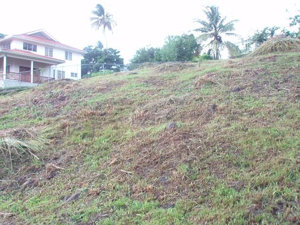 Image No.11-Land for sale