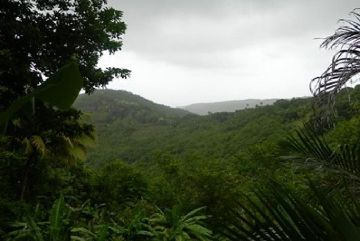 Image No.4-Land for sale