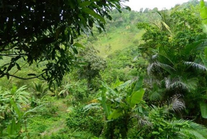 Image No.5-Land for sale