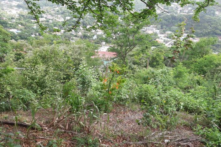 Image No.3-Land for sale