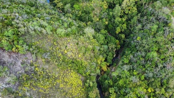 Image No.4-Land for sale