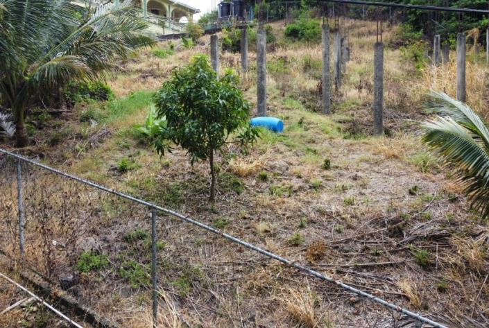 Image No.3-Land for sale