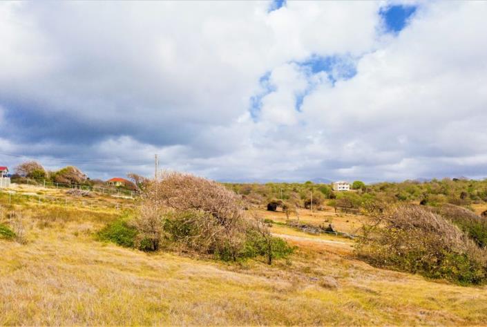 Image No.8-Land for sale