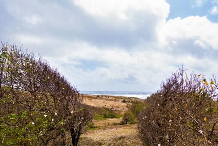 Image No.9-Land for sale