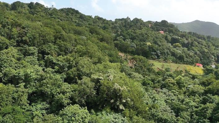 Image No.2-Land for sale