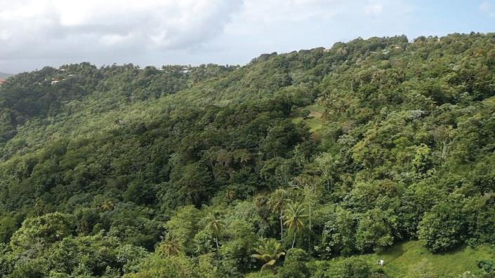 Image No.5-Land for sale