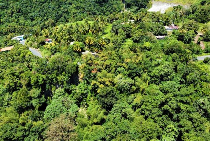 Image No.3-Land for sale