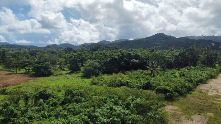 Image No.6-Land for sale