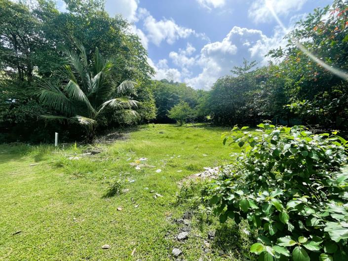 Image No.2-Land for sale