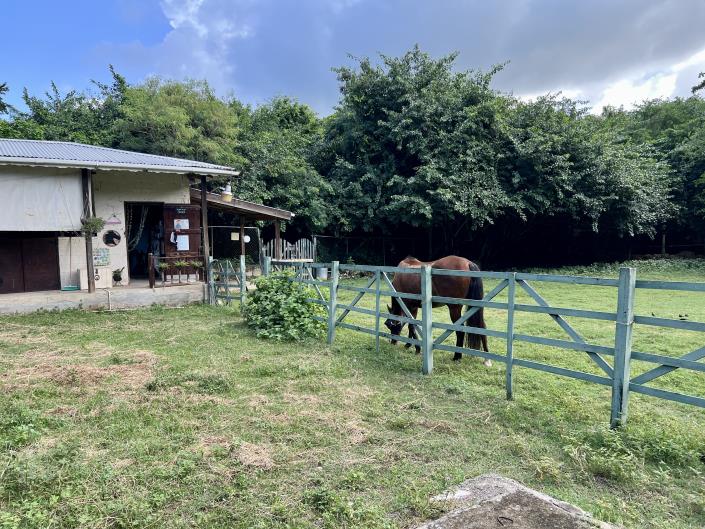 Image No.8-5 Bed House for sale