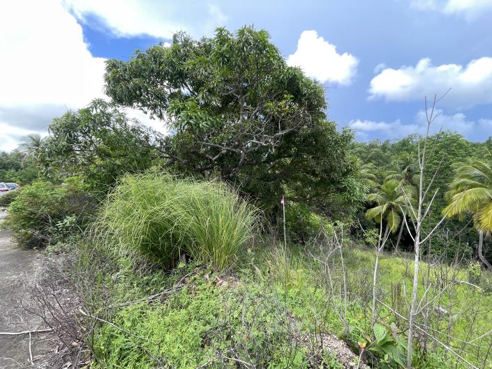 Image No.3-Land for sale