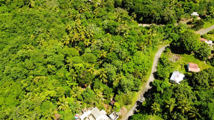 Image No.3-Land for sale