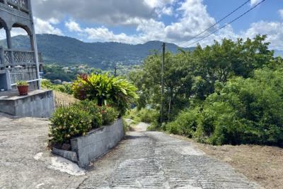 image00020-1-850x570