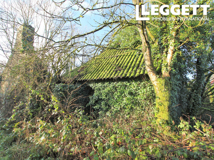 Image No.2-House for sale