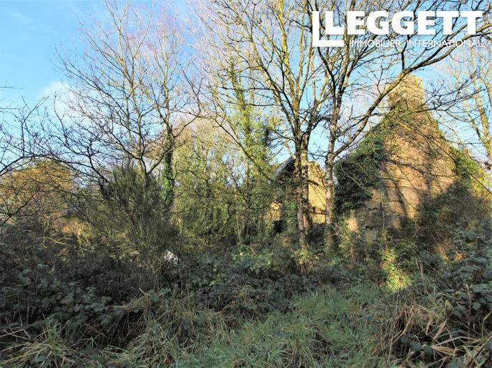 Image No.3-House for sale