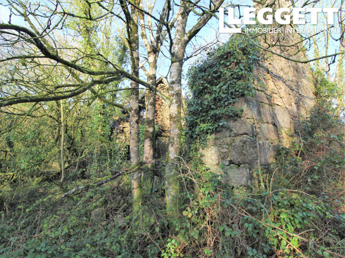 Image No.4-House for sale