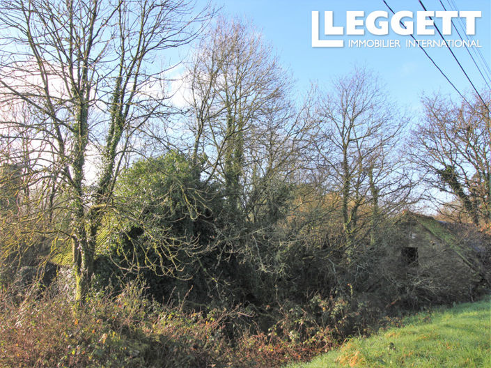 Image No.5-House for sale