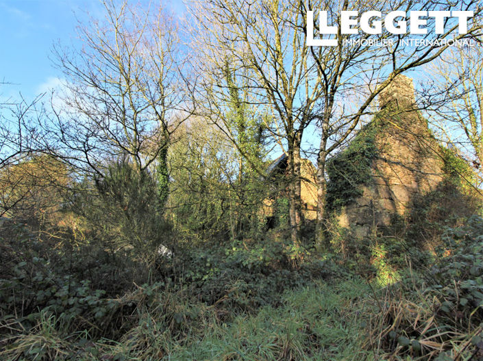 Image No.6-House for sale