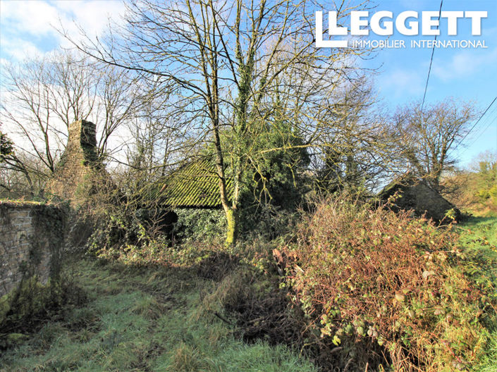 Image No.7-House for sale