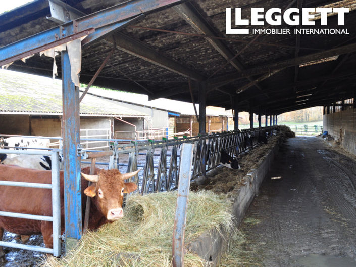 Image No.5-Commercial for sale