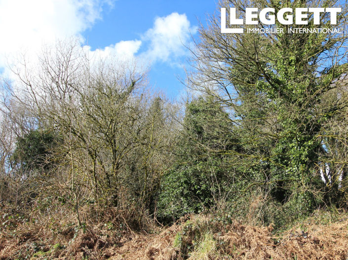 Image No.10-House for sale