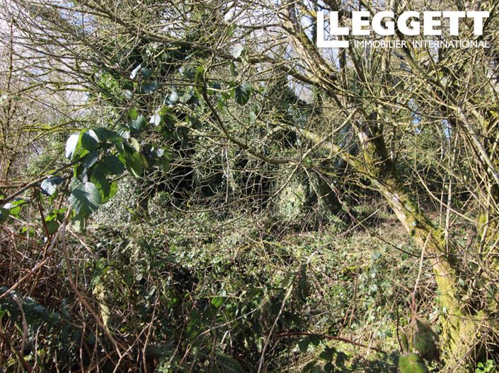 Image No.3-House for sale