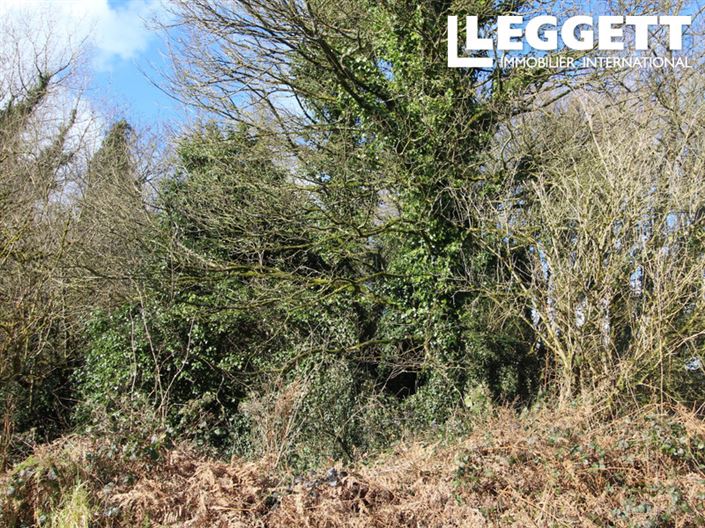 Image No.4-House for sale