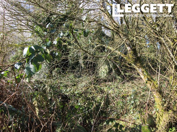 Image No.5-House for sale