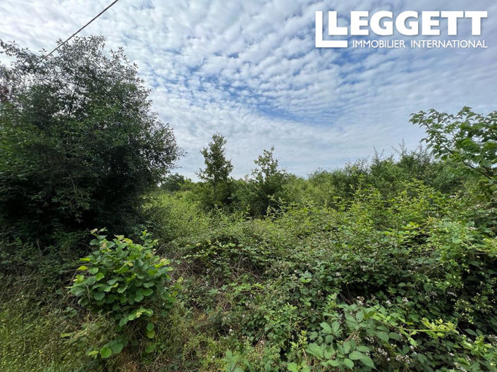 Image No.8-Land for sale