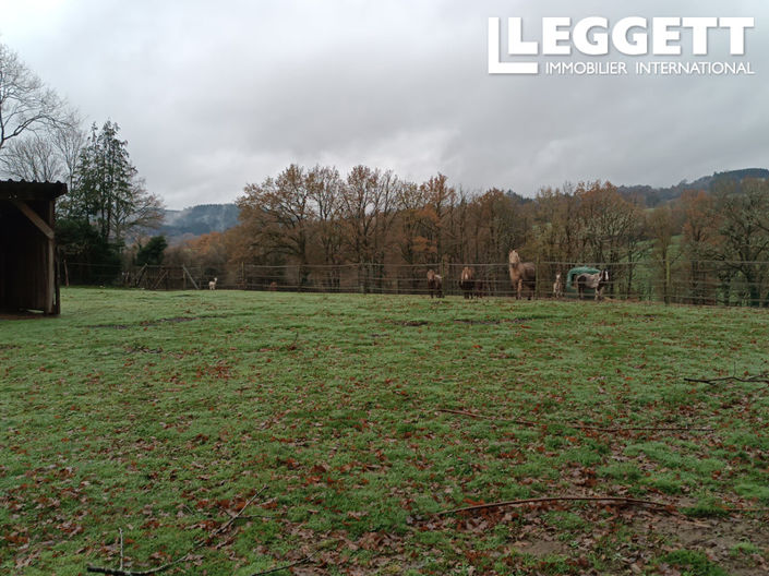 Image No.2-5 Bed House for sale