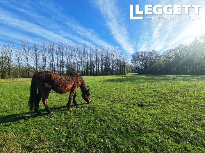 Image No.3-4 Bed House for sale