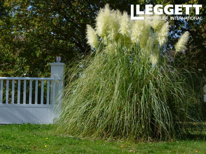 Image No.8-4 Bed House for sale