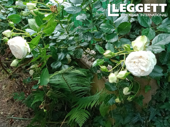 Image No.9-2 Bed House for sale