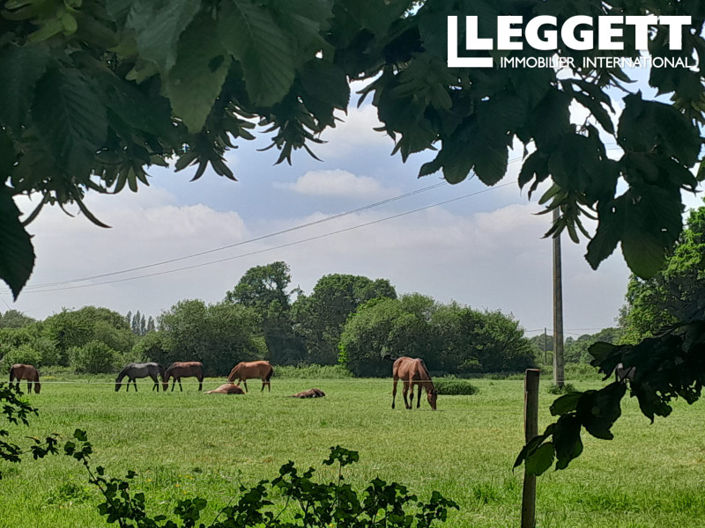 Image No.4-6 Bed House for sale