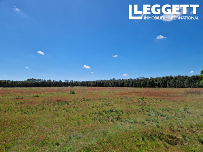 Image No.10-8 Bed House for sale