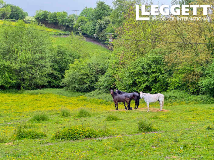 Image No.3-5 Bed House for sale