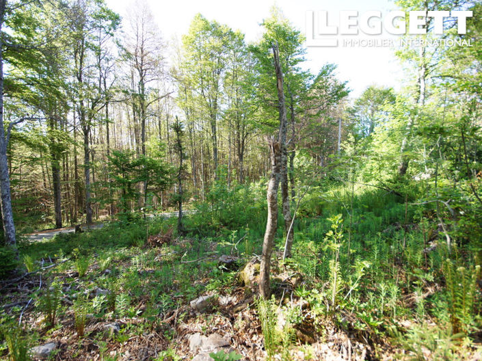 Image No.7-Land for sale