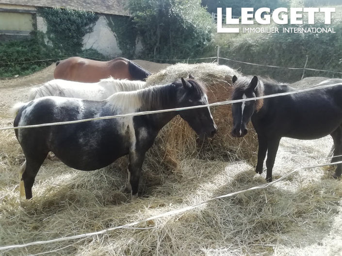 Image No.5-Commercial for sale